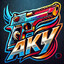 ✪ AKY ✪