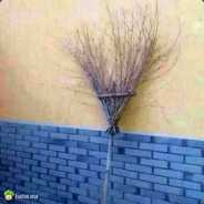 最美不过你的母亲