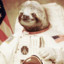 ASTROSLOTH