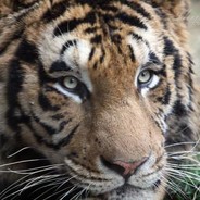 您就是Timing小王子！