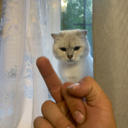 Ы