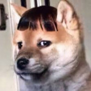 ТИГРИНЫЙ ЛЕВ