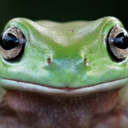 Frogtabulous