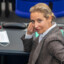 aliceweidel