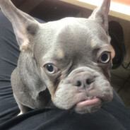 ГЛИНОМЕЛОМЕСИ