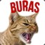 Buras