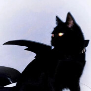 谁能拒绝青花瓷呢