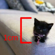 Мамут Рахал