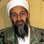 Bin laden