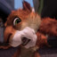 Crazy Rabid Squirrel