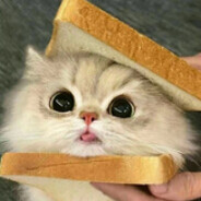 fEMb0yUNC avatar