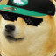 DOGE