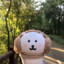 小猫放屁导致全球变暖