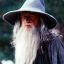 Gandalf the GreyT