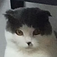 你好