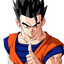 gohan