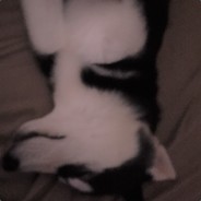 Dreamweavah
