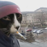 ***KITTY*** avatar