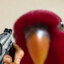 The Bird With A Gun