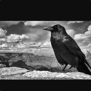 Ворон