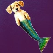 Rofl CSGOempire.com
