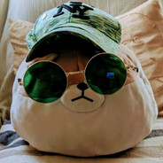 greencappeddoge