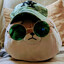 greencappeddoge