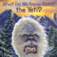 Yeti Time