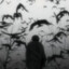 Shadowred434