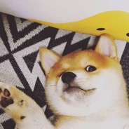 暴躁小刘酒吧摇头