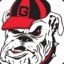 DawgsOnTop