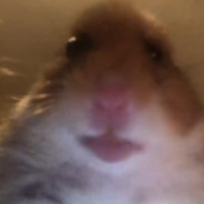 Faze Hamster