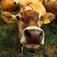 Тимoфей Коровка