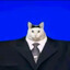 阿宝猫