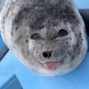 Brian