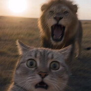 双刀火鸡煤烧铝