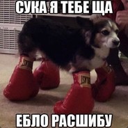 Имигрант Илья