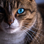 Real-¹`ҲρεяŢ___ #76 ²