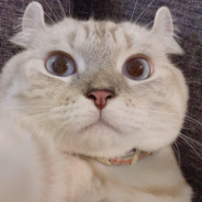 天才倒地少女 摸一下我