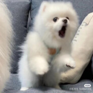 AAA电器维修小张