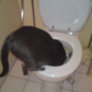 FabStryke - steam id 76561197970952839