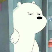 🐥🐥🐥🐥🐥🐥🐥🐥