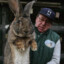 FLEMISH GIANT RABBIT