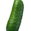 CUCUMBER