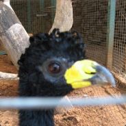 GamerDaD ^7|^4|^7|^4*^7|^4|^7|