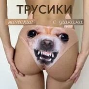 4lovik - steam id 76561199138328818