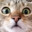 Nip's Avatar