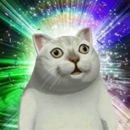 我是白贞的狗cs