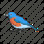 Bluebird