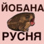 xdd